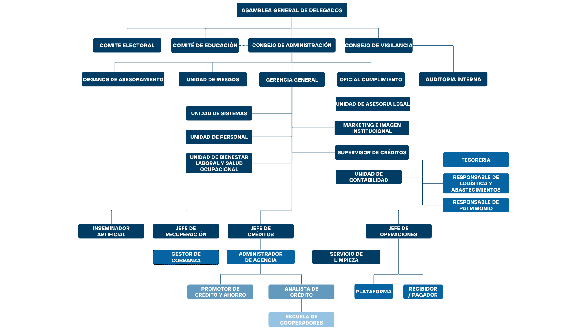 Organigrama de Coopac Cabanillas Mañazo